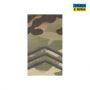 Погон нагрудний муфта Сержант MTP