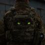 M-Tac нашивка Tiger eyes (пара) Multicam