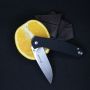 Ganzo ніж складний G6804 Black