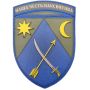 Шеврон ПВХ ЗСУ 151 окрема механізована бригад