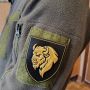 Шеврон ЗСУ 29 окрема важка механізована бригада